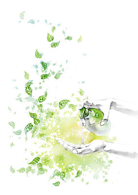 PSD 라이프스타일 손 잎 일러스트 캘리그라피 손바닥 신체부위 초록색 환경 양손 에코 친환경 세정제 클렌징폼 그린슈머 국내일러스트 식물 컬러 사람 생활 위생용품 세안용품 파일형식