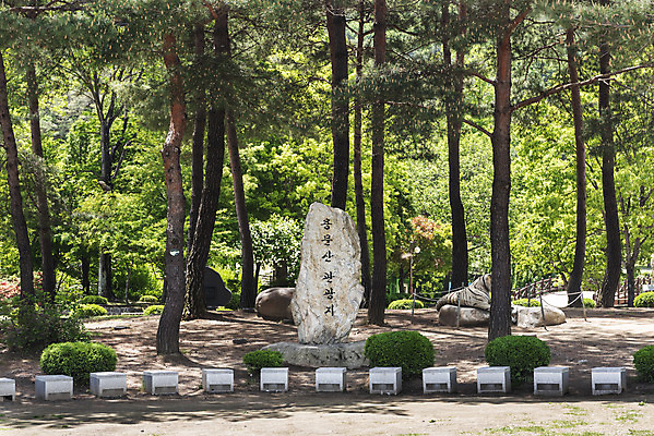 포토 JPG 주간 나무 여행 자연 한국 풍경 사람없음 야외 관광지 맑음 봄 비석 국내여행 양평 용문산 국내포토 자연요소 식물 계절 아시아 날씨 산 생태계 경기도 파일형식