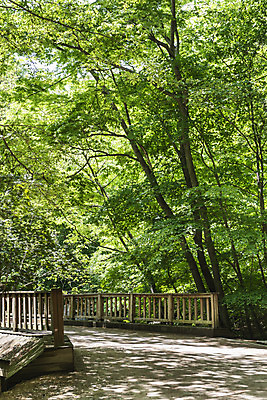 포토 JPG 주간 나무 여행 자연 한국 풍경 사람없음 야외 관광지 맑음 봄 국내여행 양평 가교 용문산 국내포토 자연요소 식물 건축물 계절 아시아 날씨 산 생태계 경기도 파일형식