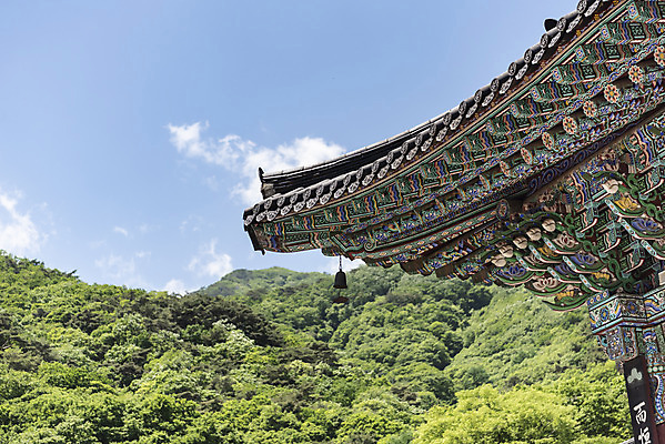 포토 JPG 주간 나무 구름 여행 자연 하늘 산 한국 풍경 사람없음 야외 관광지 맑음 봄 사찰 처마 국내여행 양평 용문사 용문산 국내포토 자연요소 식물 계절 아시아 종교건축 날씨 생태계 경기도 파일형식