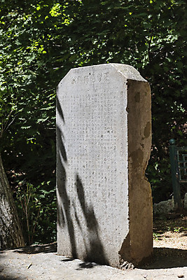 포토 JPG 주간 여행 유적지 자연 한국 풍경 사람없음 야외 관광지 봄 문화재 국내여행 양평 용문사 용문산 정지국사비 국내포토 자연요소 계절 아시아 고건축 산 사찰 비석 생태계 경기도 파일형식