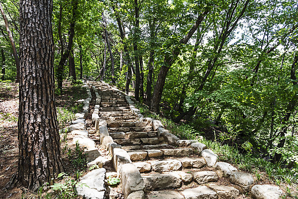 포토 JPG 주간 나무 여행 자연 한국 풍경 사람없음 야외 관광지 맑음 봄 돌계단 국내여행 양평 용문산 국내포토 자연요소 식물 계절 아시아 날씨 산 계단 돌_바위 생태계 경기도 파일형식