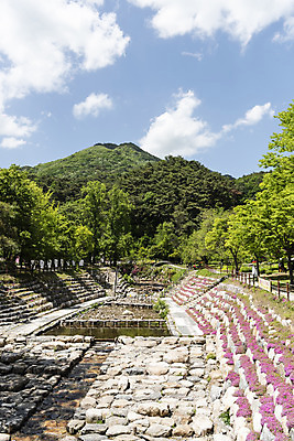 포토 JPG 주간 나무 구름 여행 자연 하늘 산 한국 풍경 사람없음 야외 관광지 맑음 봄 국내여행 양평 용문산 국내포토 자연요소 식물 계절 아시아 날씨 생태계 경기도 파일형식
