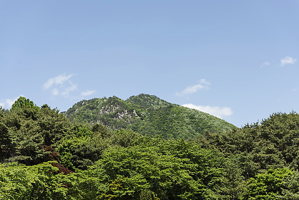 포토 JPG 주간 나무 구름 여행 자연 하늘 산 한국 풍경 사람없음 야외 관광지 맑음 봄 국내여행 양평 용문산 국내포토 자연요소 식물 계절 아시아 날씨 생태계 경기도 파일형식