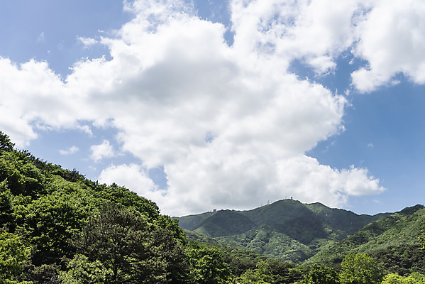 포토 JPG 주간 나무 구름 여행 자연 하늘 산 한국 풍경 사람없음 야외 관광지 맑음 봄 국내여행 양평 용문산 국내포토 자연요소 식물 계절 아시아 날씨 생태계 경기도 파일형식