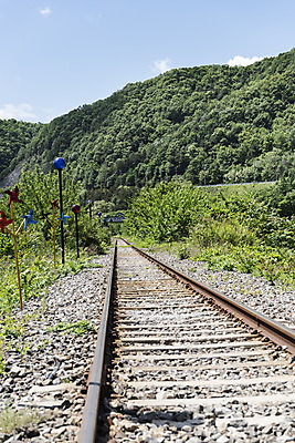 포토 JPG 주간 나무 구름 여행 자연 하늘 산 한국 풍경 사람없음 야외 관광지 맑음 봄 기찻길 국내여행 양평 철도의날 국내포토 자연요소 식물 계절 아시아 날씨 생태계 경기도 파일형식 법정기념일