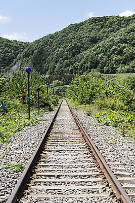 포토 JPG 주간 나무 구름 여행 자연 하늘 산 한국 풍경 사람없음 야외 관광지 맑음 봄 기찻길 국내여행 양평 철도의날 국내포토 자연요소 식물 계절 아시아 날씨 생태계 경기도 파일형식 법정기념일