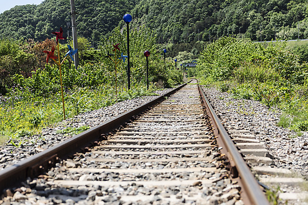 포토 JPG 주간 나무 여행 자연 산 한국 풍경 사람없음 야외 관광지 맑음 봄 기찻길 국내여행 양평 철도의날 국내포토 자연요소 식물 계절 아시아 날씨 생태계 경기도 파일형식 법정기념일
