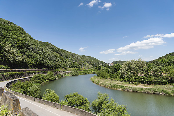 포토 JPG 주간 나무 구름 여행 자연 하늘 산 한국 풍경 사람없음 야외 관광지 맑음 봄 국내여행 남한강 양평 국내포토 자연요소 식물 계절 아시아 날씨 강 생태계 경기도 파일형식