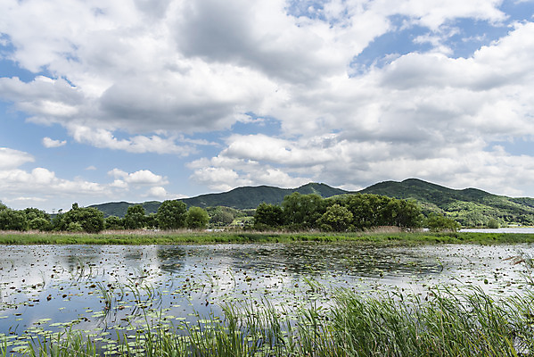 포토 JPG 주간 구름 여행 자연 하늘 한국 풍경 사람없음 야외 관광지 맑음 봄 국내여행 남한강 두물머리 양평 국내포토 자연요소 계절 아시아 날씨 강 생태계 경기도 파일형식