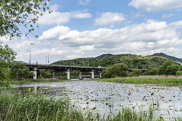 포토 JPG 주간 구름 여행 자연 하늘 산 한국 풍경 사람없음 야외 관광지 맑음 봄 국내여행 남한강 두물머리 양평 가교 신양수대교 국내포토 자연요소 건축물 계절 아시아 날씨 강 다리_건축물 생태계 경기도 파일형식