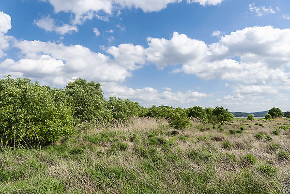 포토 JPG 주간 구름 여행 자연 하늘 한국 풍경 사람없음 야외 관광지 맑음 봄 국내여행 남한강 두물머리 양평 국내포토 자연요소 계절 아시아 날씨 강 생태계 경기도 파일형식