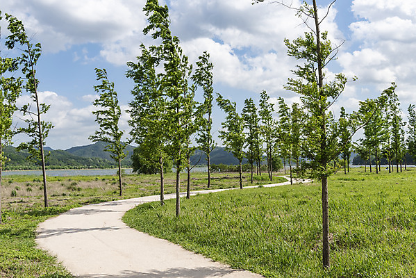 포토 JPG 주간 나무 구름 여행 자연 하늘 한국 풍경 사람없음 야외 관광지 맑음 봄 산책로 국내여행 남한강 두물머리 양평 국내포토 자연요소 식물 계절 아시아 길 날씨 강 생태계 경기도 파일형식