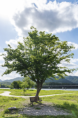 포토 JPG 주간 나무 구름 여행 벤치 자연 하늘 한국 풍경 사람없음 야외 관광지 맑음 봄 국내여행 남한강 두물머리 양평 국내포토 자연요소 식물 계절 아시아 의자 날씨 강 생태계 경기도 파일형식