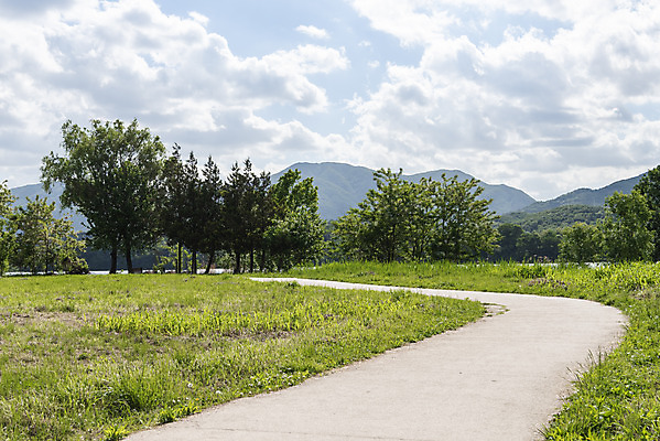 포토 JPG 주간 나무 구름 길 여행 자연 하늘 한국 풍경 사람없음 야외 관광지 맑음 봄 국내여행 남한강 두물머리 양평 국내포토 자연요소 식물 계절 아시아 날씨 강 생태계 경기도 파일형식