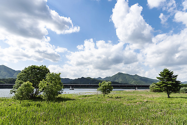 포토 JPG 주간 나무 구름 여행 자연 하늘 한국 풍경 사람없음 야외 관광지 맑음 봄 국내여행 남한강 두물머리 양평 국내포토 자연요소 식물 계절 아시아 날씨 강 생태계 경기도 파일형식