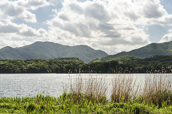 포토 JPG 주간 구름 여행 자연 하늘 한국 풍경 사람없음 야외 관광지 맑음 봄 국내여행 남한강 두물머리 양평 국내포토 자연요소 계절 아시아 날씨 강 생태계 경기도 파일형식