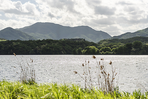 포토 JPG 주간 구름 여행 자연 하늘 한국 풍경 사람없음 야외 관광지 맑음 봄 국내여행 남한강 두물머리 양평 국내포토 자연요소 계절 아시아 날씨 강 생태계 경기도 파일형식