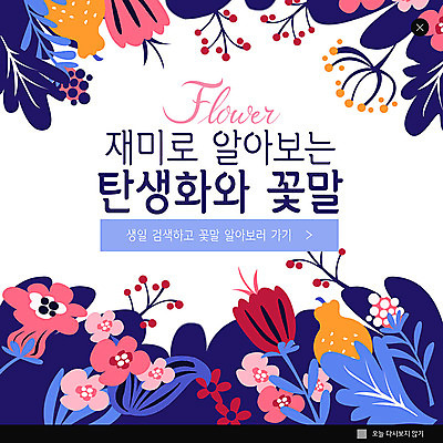 PSD 템플릿 꽃 ZIP 웹템플릿 팝업 이벤트팝업 웹팝업 이벤트 사람없음 컬러풀 생일 즐거움 꽃말 탄생화 빅팝업 이미지템플릿 식물 기념일 감정 컬러 파일형식