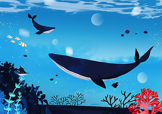 PSD 동물 바다 여러마리 일러스트 하늘 따뜻함 동물원 어류 사람없음 파란색 수영 산호초 돌고래 가오리 흰동가리 국내일러스트 컬러 다수 포유류 수중동물 수상스포츠 수중식물 파일형식