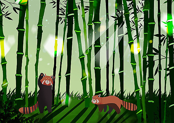 PSD 동물 응시 두마리 일러스트 따뜻함 동물원 그림자 사람없음 초록색 햇빛 태양 숲 대나무 레서판다 국내일러스트 자연요소 나무 시선 컬러 2 포유류 파일형식