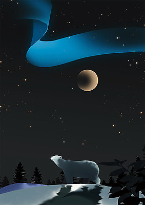 PSD 동물 한마리 응시 별 일러스트 따뜻함 동물원 사람없음 설원 어둠 달 북극 북극곰 별빛 오로라 국내일러스트 자연요소 1 시선 곰 자연현상 눈_날씨 빛 극지방 파일형식