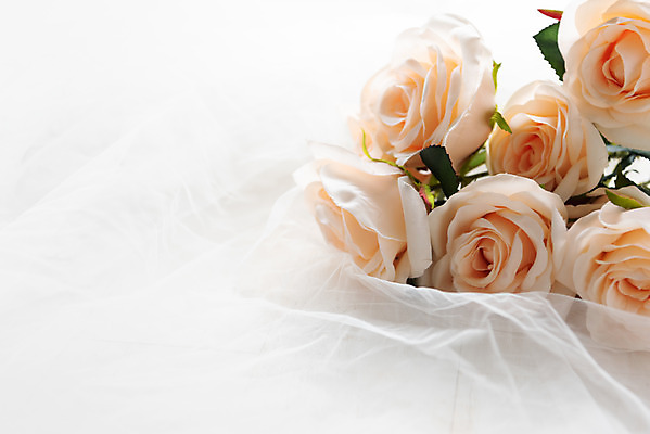 포토 JPG 스튜디오촬영 행복 부케 결혼 프로포즈 결혼식 새출발 실내 사랑 사람없음 장식 흰색 오브젝트 흰배경 결혼소품 설레임 국내포토 레이스천 감정 컬러 꽃다발 백그라운드 새로움 이벤트 내부 직물 출발 파일형식