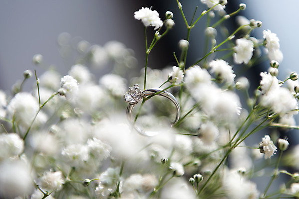포토 꽃 감정 뷰포인트 결혼 장신구 새로움 촬영기법 실내 이벤트 내부 반지 보석 오브젝트 출발 한해살이풀 파일형식 근접촬영 아웃포커스 JPG 결혼식 프로포즈 설레임 새출발 스튜디오촬영 결혼소품 다이아몬드반지 다이아몬드 안개꽃 사람없음 행복 사랑 국내포토