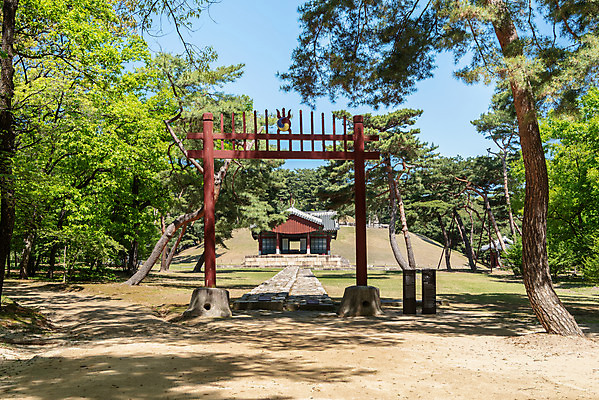 포토 JPG 주간 나무 한국전통 여행 유적지 풍경 사람없음 야외 관광지 맑음 봄 세계문화유산 문화재 역사 한국사 조선시대 사적지 정자각 조선왕릉 홍살문 인순왕후 강릉_역사 국내포토 자연요소 식물 전통 계절 고건축 날씨 한국 전통문 왕릉 파일형식 왕후