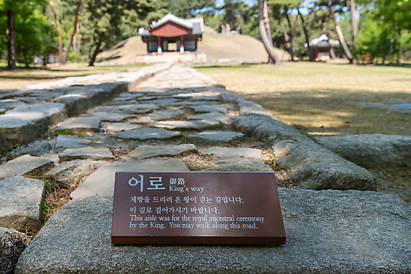 포토 JPG 주간 한국전통 길 여행 유적지 풍경 사람없음 야외 아웃포커스 관광지 맑음 봄 세계문화유산 문화재 역사 한국사 조선시대 사적지 어로 정자각 조선왕릉 인순왕후 강릉_역사 국내포토 자연요소 전통 계절 고건축 날씨 한국 촬영기법 왕릉 파일형식 왕후 향어로
