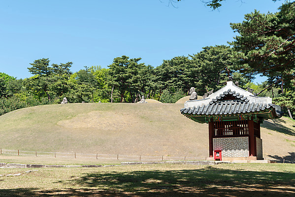 포토 JPG 주간 나무 한국전통 여행 유적지 하늘 풍경 사람없음 야외 관광지 맑음 봄 세계문화유산 문화재 묘 역사 한국사 조선시대 비각 사적지 조선왕릉 인순왕후 강릉_역사 봉분 국내포토 자연요소 식물 전통 계절 고건축 날씨 한국 무덤 왕릉 파일형식 왕후