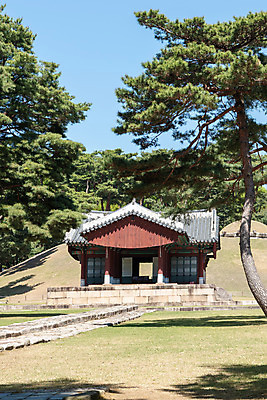 포토 JPG 주간 나무 한국전통 여행 유적지 하늘 풍경 사람없음 야외 관광지 맑음 봄 세계문화유산 문화재 역사 한국사 조선시대 사적지 정자각 조선왕릉 인순왕후 강릉_역사 국내포토 자연요소 식물 전통 계절 고건축 날씨 한국 왕릉 파일형식 왕후