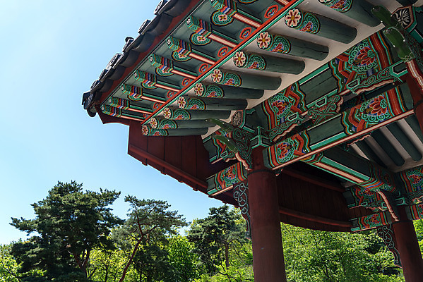 포토 JPG 주간 나무 한국전통 여행 유적지 하늘 풍경 사람없음 야외 관광지 맑음 봄 세계문화유산 문화재 역사 한국사 조선시대 사적지 정자각 조선왕릉 인순왕후 강릉_역사 국내포토 자연요소 식물 전통 계절 고건축 날씨 한국 왕릉 파일형식 왕후