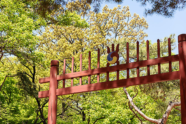 포토 JPG 주간 나무 한국전통 여행 유적지 풍경 사람없음 야외 관광지 맑음 봄 세계문화유산 문화재 역사 한국사 조선시대 사적지 조선왕릉 홍살문 인순왕후 강릉_역사 국내포토 자연요소 식물 전통 계절 고건축 날씨 한국 전통문 왕릉 파일형식 왕후