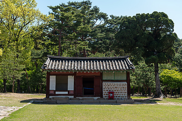 포토 JPG 주간 나무 한국전통 여행 유적지 풍경 사람없음 야외 관광지 맑음 봄 세계문화유산 문화재 역사 한국사 조선시대 사적지 조선왕릉 태릉 문정왕후 수복방 국내포토 자연요소 식물 전통 계절 고건축 날씨 한국 왕릉 파일형식 왕후