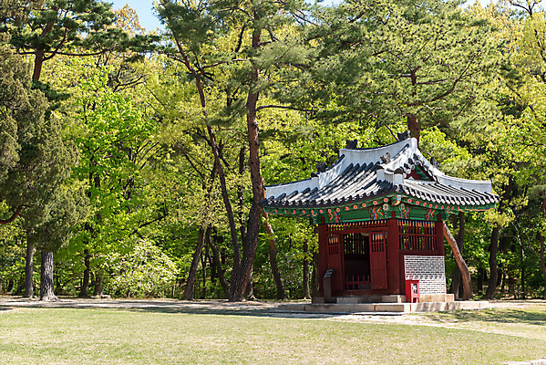 포토 JPG 주간 나무 한국전통 여행 유적지 풍경 사람없음 야외 관광지 맑음 봄 세계문화유산 문화재 역사 한국사 조선시대 비각 사적지 조선왕릉 태릉 문정왕후 국내포토 자연요소 식물 전통 계절 고건축 날씨 한국 왕릉 파일형식 왕후