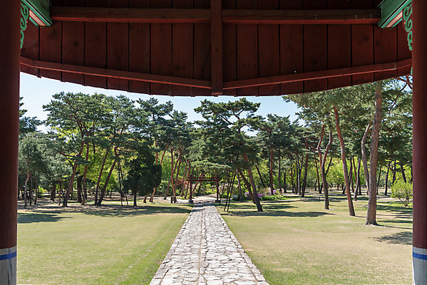 포토 JPG 주간 나무 한국전통 여행 유적지 풍경 사람없음 야외 관광지 맑음 봄 세계문화유산 문화재 역사 한국사 조선시대 사적지 정자각 조선왕릉 홍살문 태릉 문정왕후 국내포토 자연요소 식물 전통 계절 고건축 날씨 한국 전통문 왕릉 파일형식 왕후