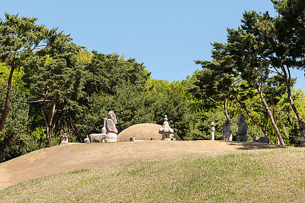 포토 JPG 주간 나무 한국전통 여행 유적지 하늘 풍경 사람없음 야외 관광지 맑음 봄 세계문화유산 문화재 묘 역사 한국사 조선시대 사적지 조선왕릉 태릉 문정왕후 봉분 국내포토 자연요소 식물 전통 계절 고건축 날씨 한국 무덤 왕릉 파일형식 왕후