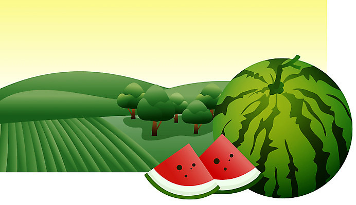 EPS 주간 식물 사계절 계절 백그라운드 밭 과일 일러스트 자연 여름음식 수박 풍경 사람없음 야외 여름 소서 제철음식 제철과일 국내일러스트 자연요소 음식 농업 절기 생태계 제철 파일형식 벡터 여름_계절