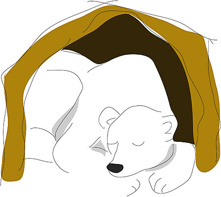 EPS 클립아트 동물 척추동물 한마리 육지동물 일러스트 곰 포유류 사람없음 겨울잠 국내일러스트 1 잠 파일형식 벡터