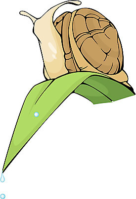 EPS 클립아트 동물 야생동물 일러스트 연체동물 사람없음 풀잎 달팽이 국내일러스트 잎 무척추동물 풀_식물 파일형식 벡터