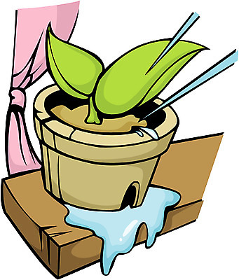 EPS 클립아트 식물 화분 잎 일러스트 사람없음 물 새싹 국내일러스트 자연요소 파일형식 벡터