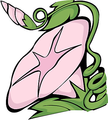 EPS 클립아트 식물 꽃 분홍색 컬러 일러스트 여름꽃 자연 사람없음 나팔꽃 국내일러스트 생태계 파일형식 벡터 여름_계절