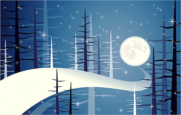 EPS 나무 사계절 계절 길 백그라운드 겨울 일러스트 자연 풍경 초원 사람없음 야외 달 눈 야간 겨울배경 국내일러스트 자연요소 식물 날씨 생태계 파일형식 벡터