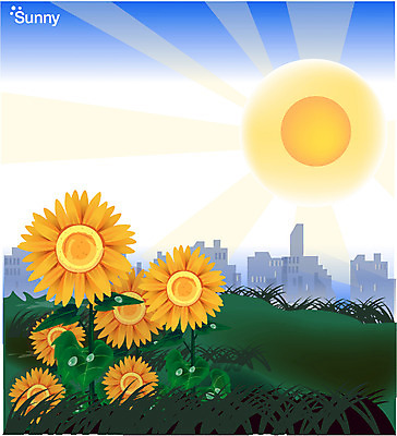 EPS 주간 식물 꽃 백그라운드 일러스트 여름꽃 자연 날씨 해바라기 풍경 초원 사람없음 야외 햇빛 태양 맑음 국내일러스트 자연요소 생태계 파일형식 벡터 여름_계절