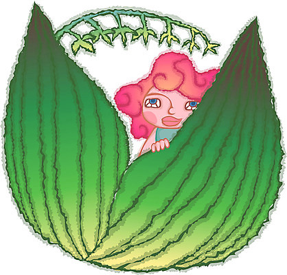 EPS 사계절 계절 여자 꽃 일러스트 사람 상반신 판타지 봄 여자만 가상인물 국내일러스트 식물 상상 파일형식 벡터