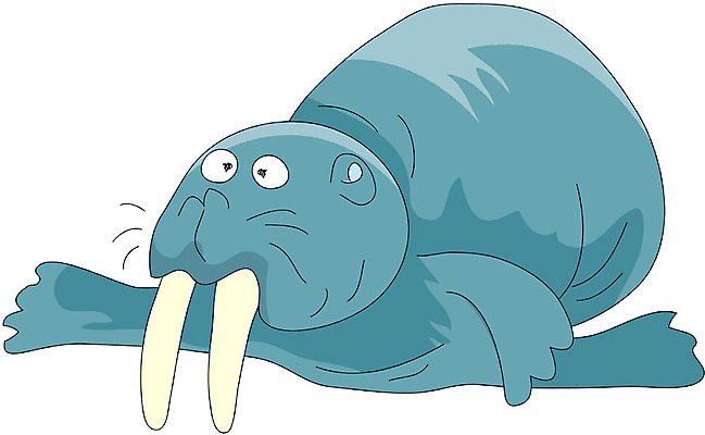 EPS 클립아트 동물 척추동물 일러스트 포유류 사람없음 바다동물 바다표범 바다코끼리 국내일러스트 바다 수중동물 파일형식 벡터