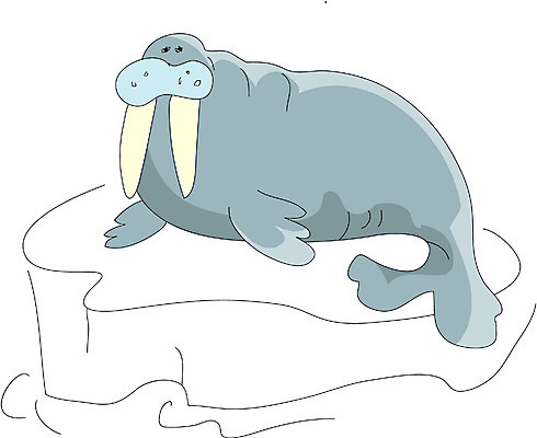 EPS 클립아트 동물 척추동물 한마리 일러스트 포유류 사람없음 얼음 바다동물 바다표범 바다코끼리 국내일러스트 자연요소 1 바다 수중동물 파일형식 벡터