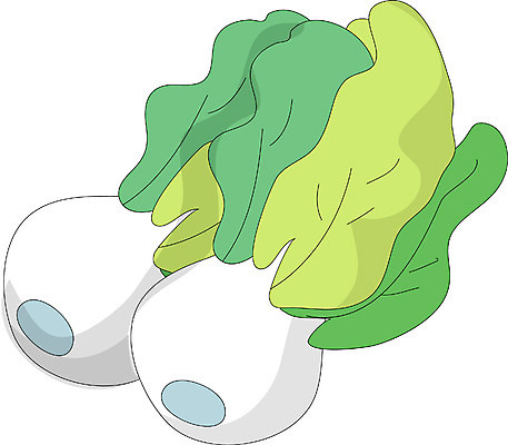 EPS 클립아트 식물 음식 채소 일러스트 식재료 사람없음 농작물 무 배추 알타리무 국내일러스트 농업 뿌리채소 파일형식 벡터