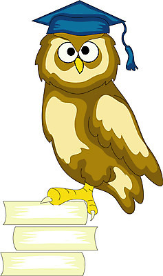 EPS 클립아트 동물 척추동물 캐릭터 일러스트 학사모 상상 조류 사람없음 책 부엉이 뻐꾸기 일러캐릭터 모자_잡화 졸업 파일형식 벡터